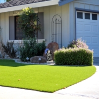 Artificial Grass Carpet East Los Angeles, California Garden Ideas, Front Yard Landscape Ideas