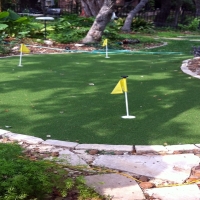 Artificial Grass Carpet South San Jose Hills, California Lawn And Landscape, Backyard Ideas