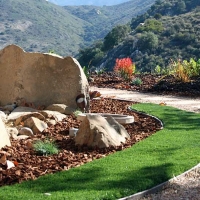 Artificial Grass Mission Canyon, California Home And Garden, Front Yard Ideas