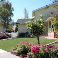 Artificial Grass Newport Beach, California Home And Garden, Front Yard Landscaping Ideas