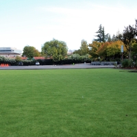 Artificial Lawn Fullerton, California Athletic Playground