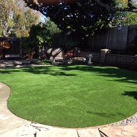 Artificial Lawn Lawndale, California Rooftop, Backyards