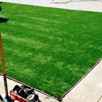 Artificial Lawn Rossmoor, California Design Ideas