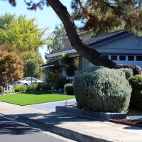 Artificial Lawn South Whittier, California Landscape Photos, Landscaping Ideas For Front Yard