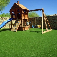 Artificial Turf Lebec, California Roof Top, Backyard Landscape Ideas