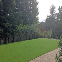 Artificial Turf Monterey Park, California Landscaping, Beautiful Backyards