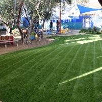 Artificial Turf West Rancho Dominguez, California Design Ideas, Commercial Landscape