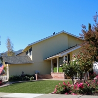 Best Artificial Grass Santa Paula, California Roof Top, Front Yard