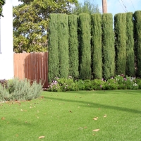 Fake Grass Carpet Big Bear City, California Lawn And Garden, Front Yard Landscape Ideas