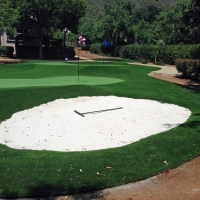 Fake Grass Carpet Lake Forest, California Indoor Putting Greens, Landscaping Ideas For Front Yard