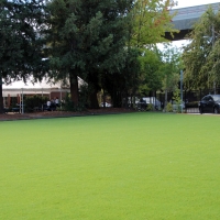 Fake Grass Carpet Maywood, California Backyard Playground, Commercial Landscape