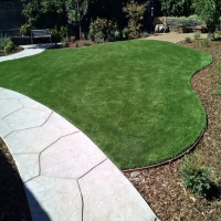 Fake Grass Carpet Santa Paula, California Landscaping, Front Yard Landscaping Ideas