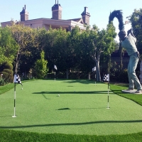 Fake Grass Willowbrook, California City Landscape, Backyards