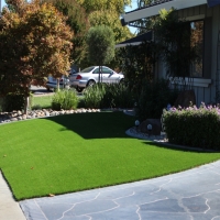 Fake Lawn Ladera Heights, California Landscape Ideas, Front Yard Ideas