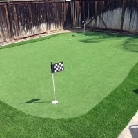 Fake Turf East Los Angeles, California Indoor Putting Greens, Backyard Design