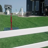 Fake Turf Rosamond, California Lawn And Garden, Front Yard