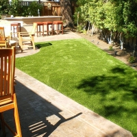 Faux Grass Baldwin Park, California Indoor Dog Park, Backyards