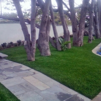 Faux Grass Rancho Palos Verdes, California City Landscape, Small Front Yard Landscaping