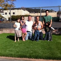 Grass Carpet Green Acres, California Roof Top, Commercial Landscape