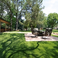 Grass Carpet La Habra, California Landscape Design, Backyard Design