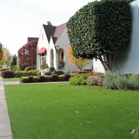 Grass Carpet Meiners Oaks, California Lawn And Landscape, Front Yard Design