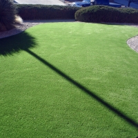 Grass Carpet Perris, California Garden Ideas, Front Yard