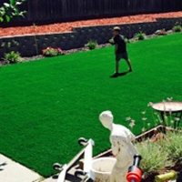 Grass Installation Garnet, California Design Ideas, Beautiful Backyards