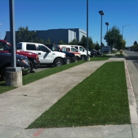 Grass Installation Inglewood, California Landscape Photos, Commercial Landscape