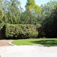 Grass Turf Commerce, California Rooftop, Backyard Landscape Ideas