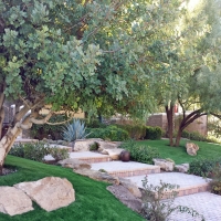 Grass Turf Mentone, California Landscape Ideas, Backyard Landscaping