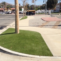 Green Lawn Corona, California Lawns, Commercial Landscape