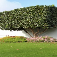 Green Lawn Eucalyptus Hills, California Landscape Rock, Front Yard Landscaping