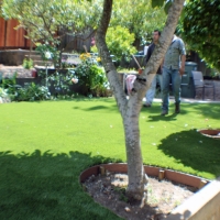 Green Lawn Inglewood, California Lawn And Garden, Backyards