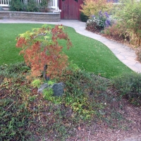 Green Lawn Wrightwood, California Gardeners, Front Yard Design