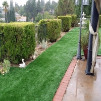 Lawn Services Cudahy, California Lawns, Backyard Makeover