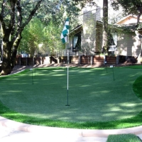 Outdoor Carpet Long Beach, California Lawn And Garden, Beautiful Backyards