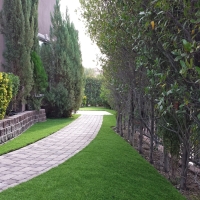 Plastic Grass Channel Islands Beach, California Design Ideas, Front Yard Design