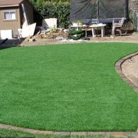 Plastic Grass Lebec, California Gardeners, Beautiful Backyards