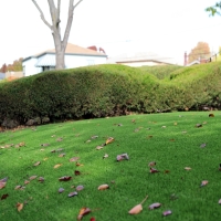 Plastic Grass Rainbow, California Roof Top, Landscaping Ideas For Front Yard