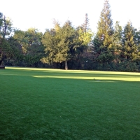 Synthetic Grass Cost Corona, California Garden Ideas, Recreational Areas