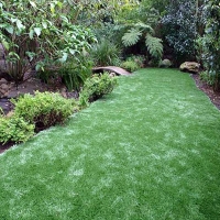 Synthetic Grass Torrance, California Landscape Photos, Beautiful Backyards