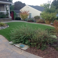 Synthetic Lawn Carlsbad, California City Landscape, Front Yard Design