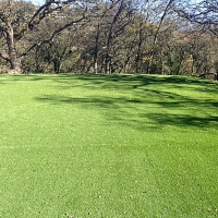 Synthetic Lawn Stanton, California Lawn And Landscape, Parks