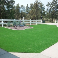 Synthetic Turf Anaheim, California Home And Garden, Front Yard