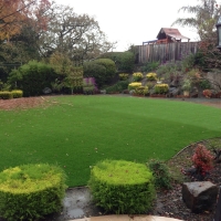 Synthetic Turf Las Flores, California Design Ideas, Backyard Landscape Ideas