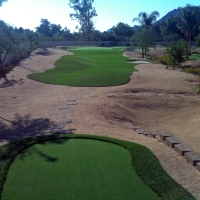 Synthetic Turf Palmdale, California Office Putting Green, Backyard Design