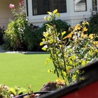 Synthetic Turf Supplier Belvedere, California City Landscape, Front Yard Landscape Ideas