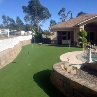 Synthetic Turf Supplier Littlerock, California Lawn And Garden, Small Backyard Ideas