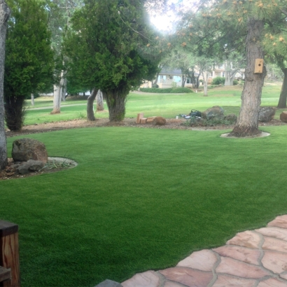 Artificial Grass Carpet Bloomington, California Home And Garden, Front Yard