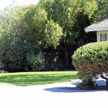 Artificial Grass Installation Lakeview, California Backyard Playground, Front Yard Design